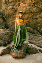 Paia
