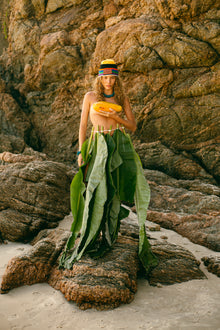 Paia