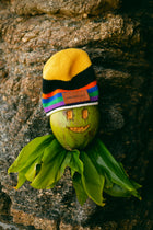 Paia